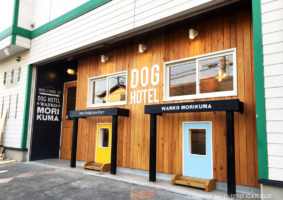 Dogホテル わんこ森くま 厚木市 / 店舗デザイン by OHESO GARAGE