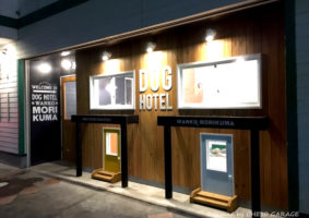 Dogホテル わんこ森くま 厚木市 / 店舗デザイン by OHESO GARAGE